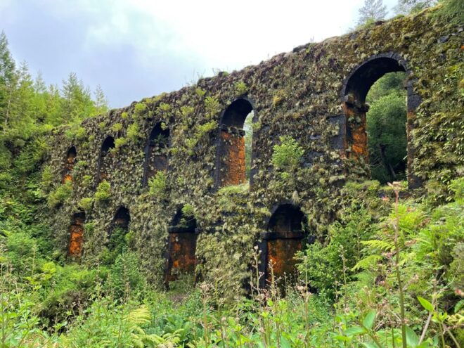 Guided Van Tour Sete Cidades, Lagoa Do Fogo – Volcanic Lakes - Customer Experience and Reviews