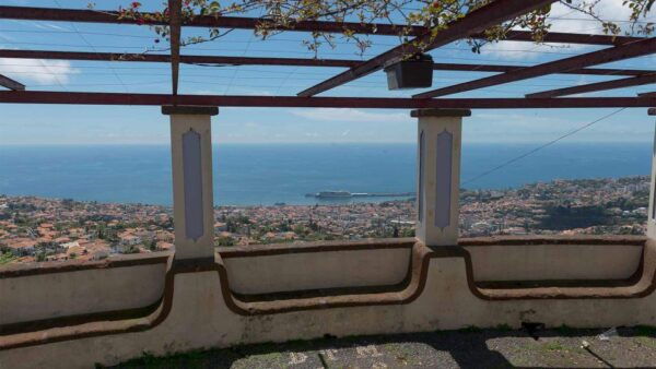 Guided Vespa Tour Through Mountain Trails - Madeira Island - The Sum Up