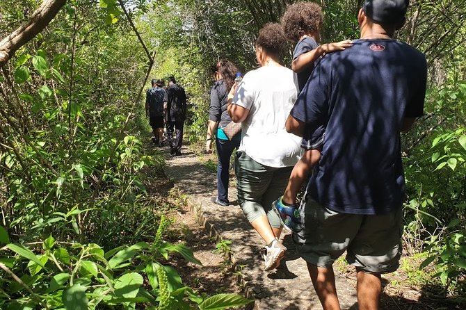 Guided Victoria Falls Tour On Zambia Side - Pickup Information
