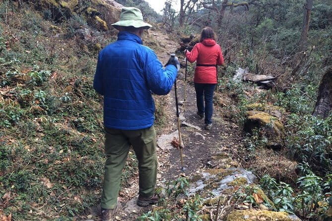 Guided Village walk with Stories in Dharamsala - What You’ll Love About the Tour