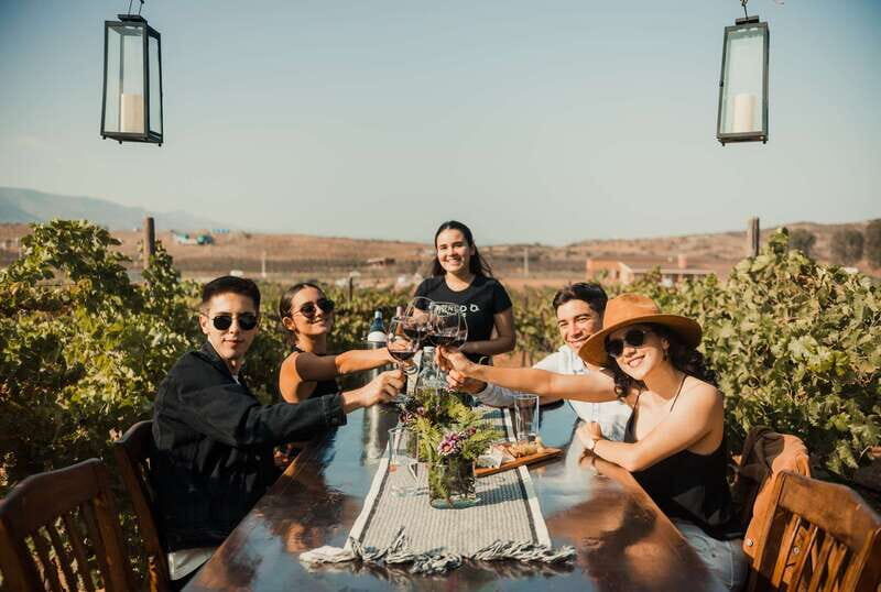 Guided Vineyard Tour with Wine Tasting at Rondo del Valle - Guided Vineyard Tour with Wine Tasting at Rondo del Valle