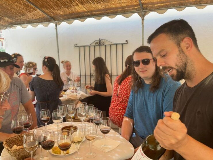 Guided Vineyard&Cellar Tour 5 Wine Tasting With Tapas - Tour Details