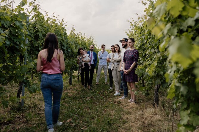 Guided Visit and Wine Tasting at the Winery in Veneto - Directions