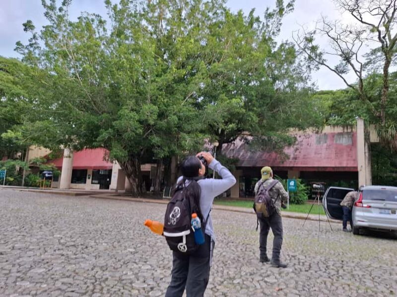 Guided visit in the Palenque jungle (Palenque National Park) - Good To Know