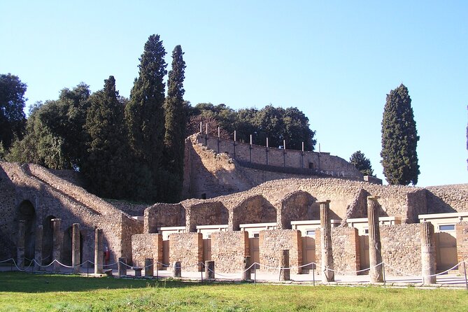 Guided Visit of Pompei and Mount Vesuvius Tour With Pizza Lunch - Tour Itinerary
