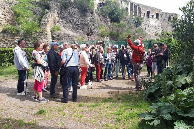Guided Visit of Pompei and Mount Vesuvius Tour With Pizza Lunch - Customer Reviews