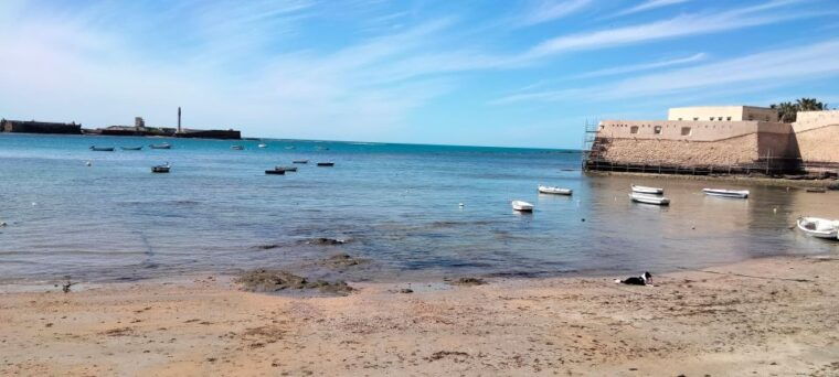 Guided Visit on Foot Through Cádiz: Stories From the Hand of a Local Guide - Recommendations for Dining and Leisure