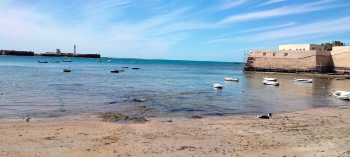 Guided Visit on Foot Through Cádiz: Stories From the Hand of a Local Guide - Important Details for Participants
