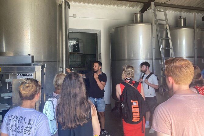 Guided Visit to a Pretty Vineyard&Cellar 5 Wines Tasting & Tapas - Wine Tasting Experience and Tapas Pairings