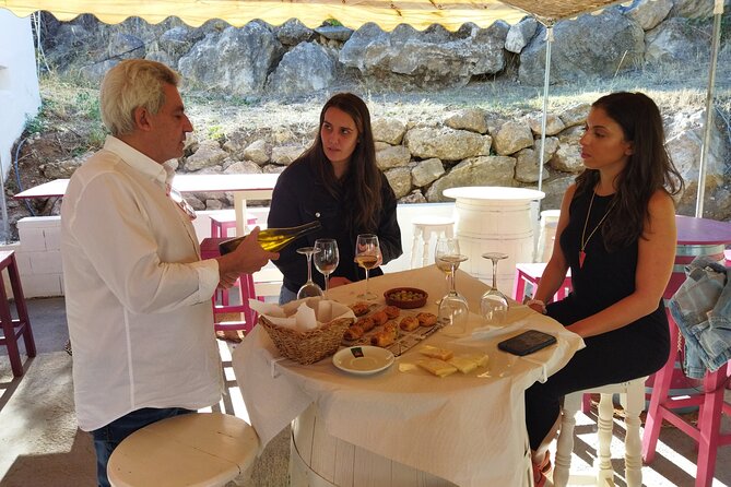 Guided Visit to a Pretty Vineyard&Cellar 5 Wines Tasting & Tapas - Common Questions
