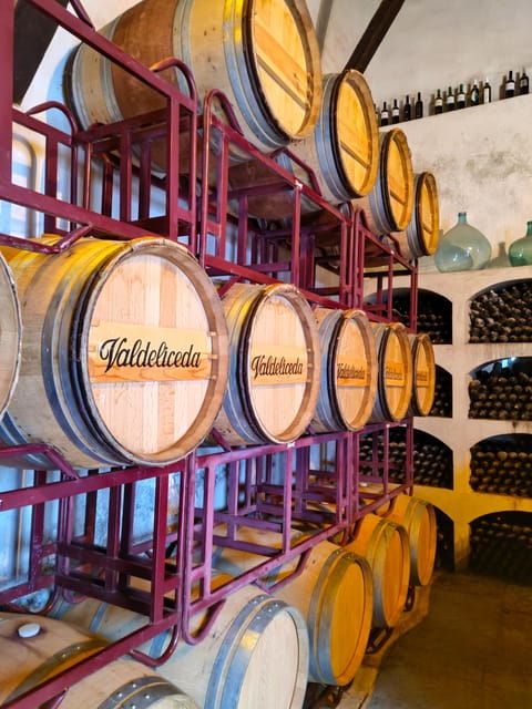 GUIDED VISIT TO BODEGA DEL NERO WINERY - Good To Know