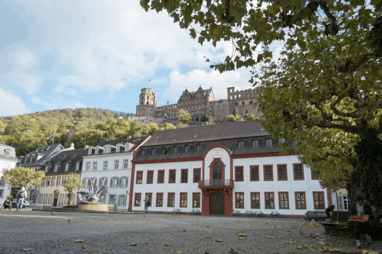 Guided visit to Heidelberg - Frequently Asked Questions