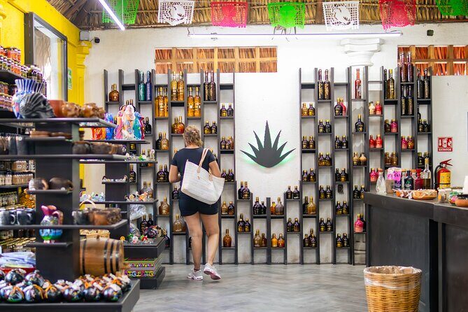 Guided Visit to Huatulco with Pickup Included - The Authentic Experience: What Travelers Say