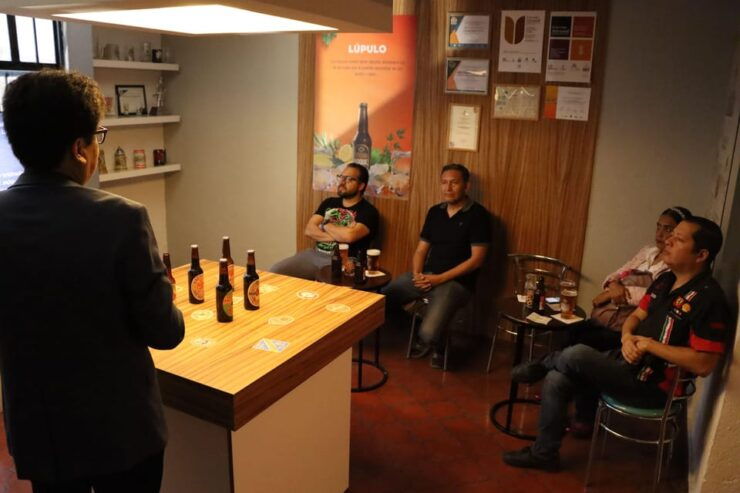 Guided Visit to Irapuatos Beer Museum - Good To Know