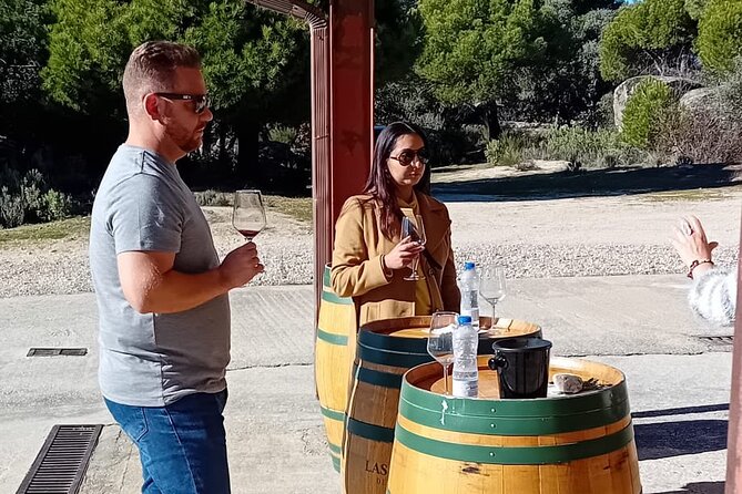 Guided Visit to One Winery in Madrid - Wine Tasting and Tour