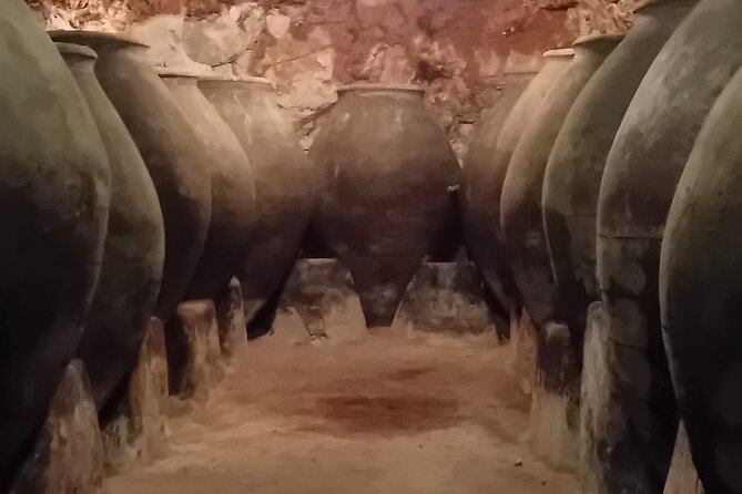 Guided Visit to One Winery in Madrid - End Point and Return to Meeting Point