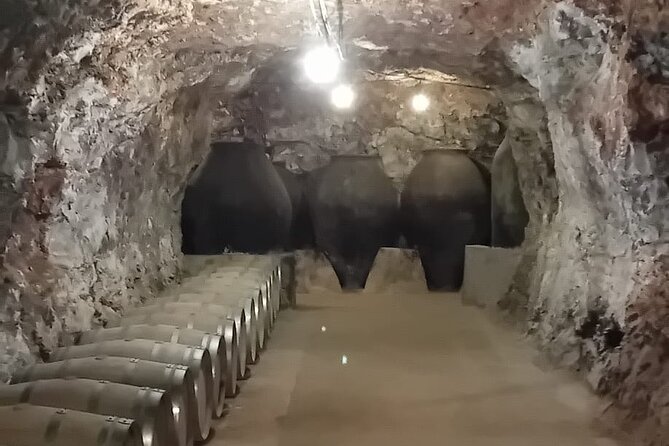 Guided Visit to One Winery in Madrid - Additional Information and Contact Details