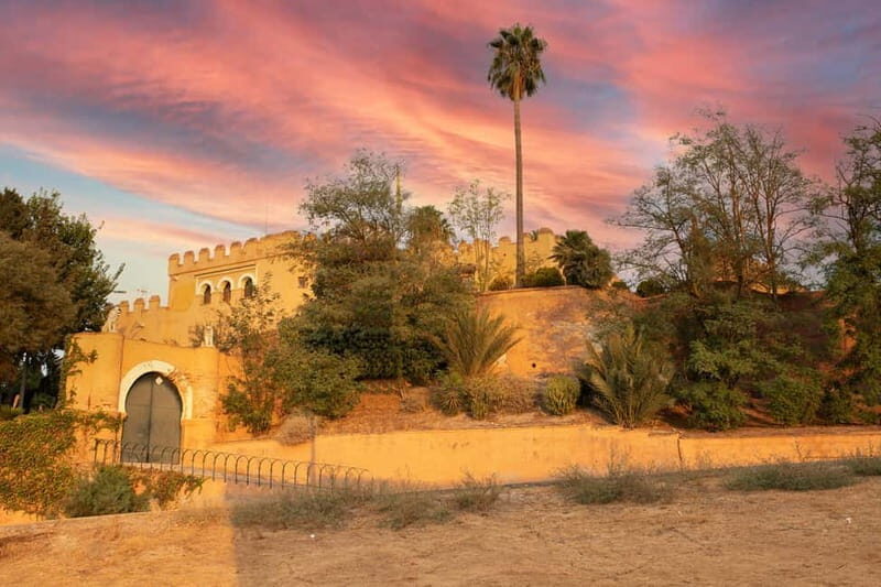 Guided Visit to the Castle of Láchar, Granada - An In-Depth Look at the Láchar Castle Guided Tour
