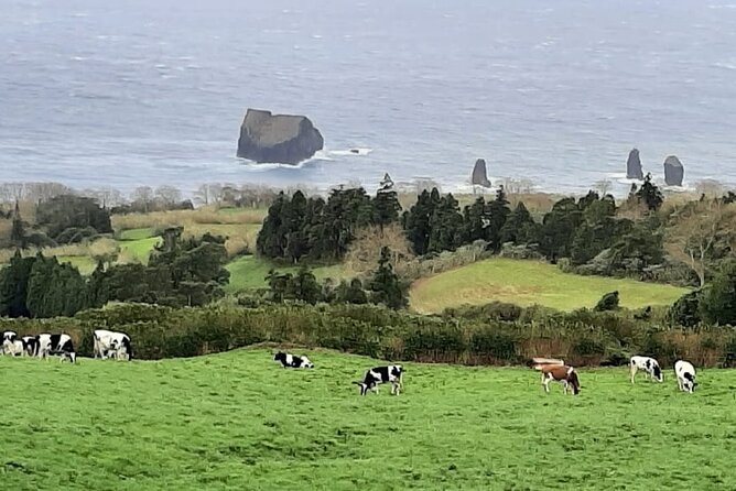 Guided Visit to the Crater and Volcano of Lagoa Das Sete Cidades - Meeting Points