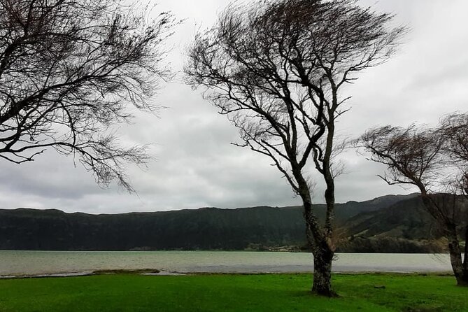 Guided Visit to the Crater and Volcano of Lagoa Das Sete Cidades - Customer Experiences