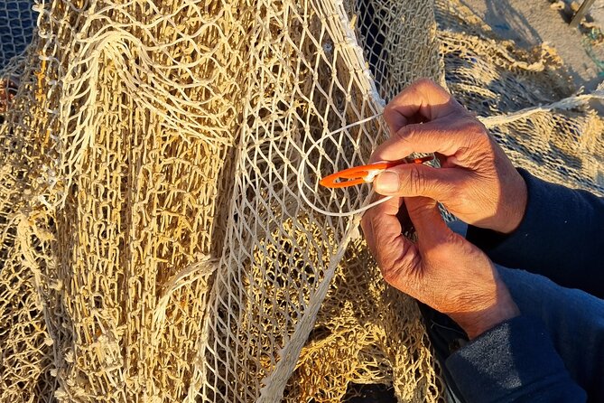 Guided Visit to the Fishermens Guild With Tasting - Ratings and Reviews From Viator and Tripadvisor