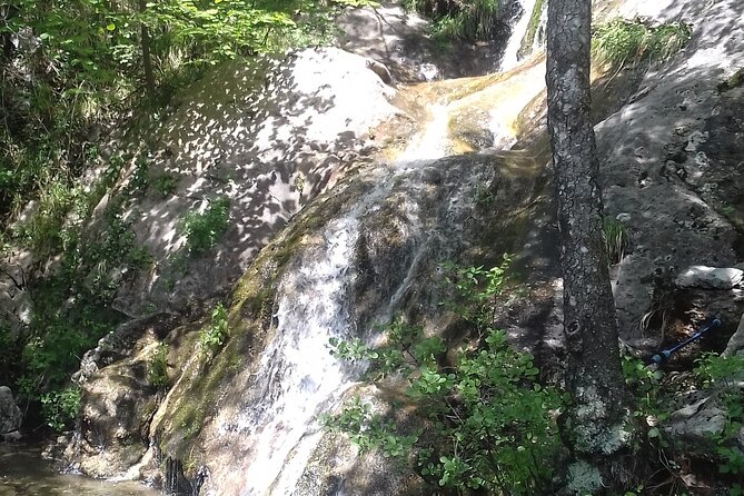 Guided Visit to the Magical Waterfalls in the Candalla Forest - Cancellation Policy and Reservation