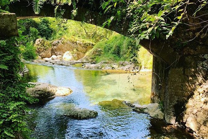 Guided Visit to the Magical Waterfalls in the Candalla Forest - What To Expect and Health Restrictions