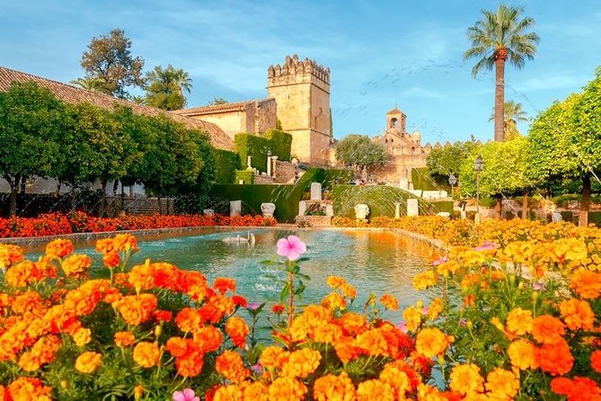 Guided Visit to the Mosque-Cathedral, Jewish Quarter, Alcazar and Synagogue. Official Guide - Traveler Photos and Reviews