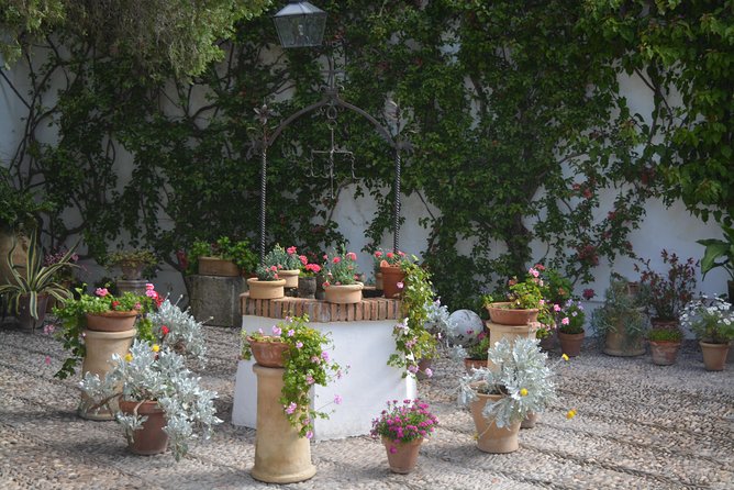 Guided Visit to the Palace of Viana and Its Patios - Palace of Viana: A Historical Overview