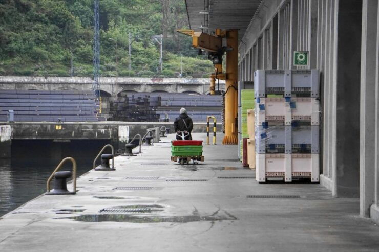 Guided Visit to the Pasaia Fish Market - Booking Information