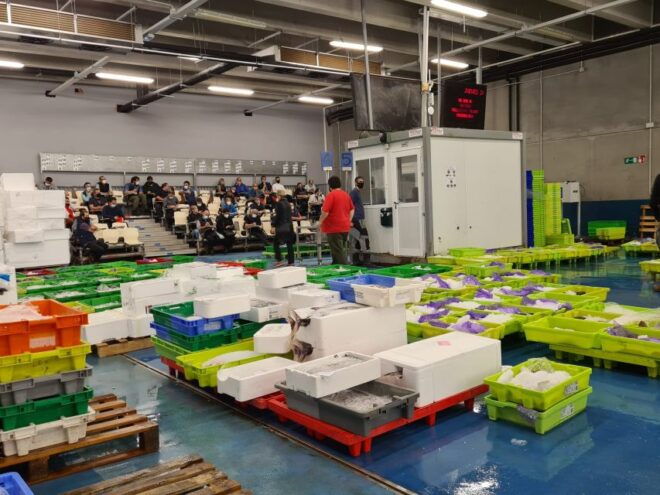 Guided Visit to the Pasaia Fish Market - Inclusions