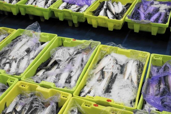 Guided Visit to the Pasaia Fish Market - Frequently Asked Questions