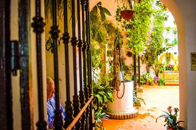 Guided Visit to the Popular Patios of Cordoba - Overview and Benefits of the Guided Visit