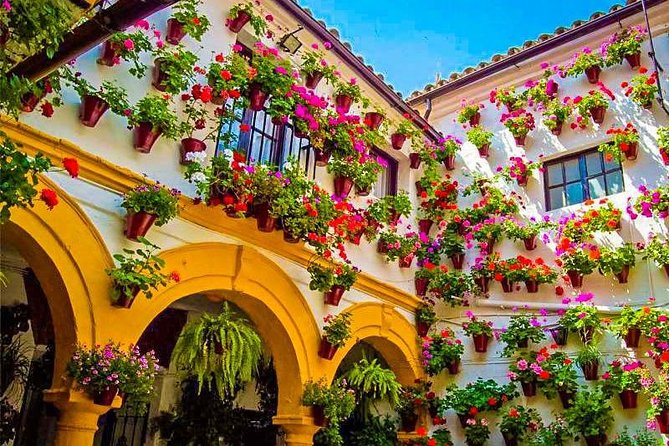 Guided Visit to the Popular Patios of Cordoba - Meeting and Pickup Details