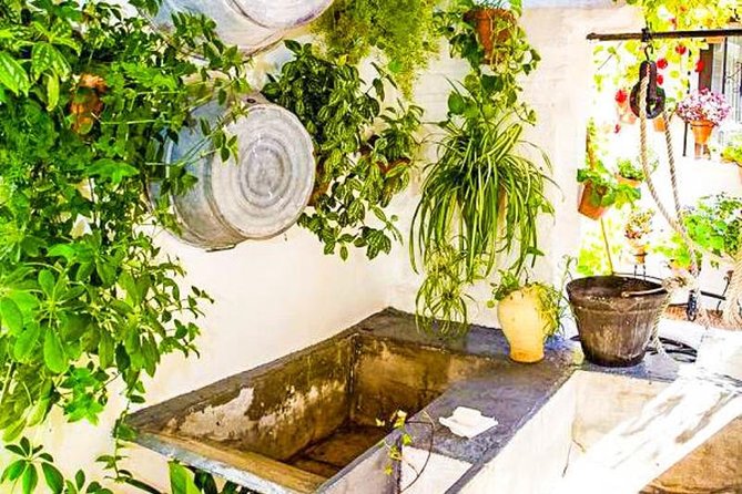Guided Visit to the Popular Patios of Cordoba - What to Expect During the Visit