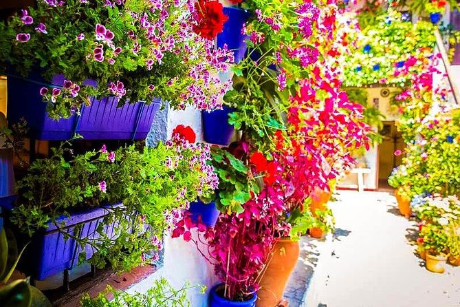 Guided Visit to the Popular Patios of Cordoba - Directions and Important Points to Note