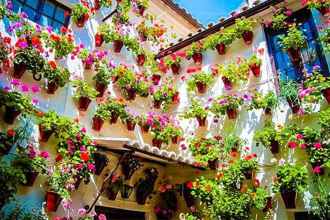 Guided Visit to the Popular Patios of Cordoba - Common Questions