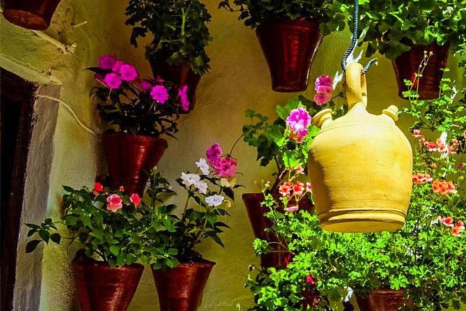Guided Visit to the Popular Patios of Cordoba - The Sum Up