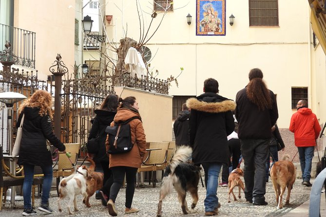 Guided Visit to the Realejo With Dogs - Inclusions of the Guided Visit