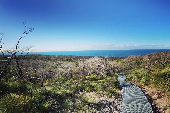 Guided Walk in North Head, Manly With Nature, History and Culture - Exploring the Natural Beauty of North Head