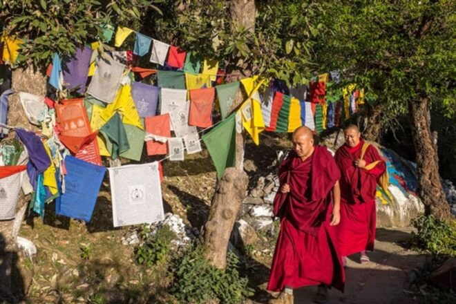 Guided Walk, Indias Own Mini Tibet at Mcleodganj - Restrictions