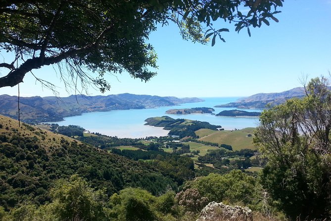 Guided Walk & Scenic Drive From Christchurch- Port Hills & Packhorse Hut - Overview of the Christchurch to Port Hills & Packhorse Hut Tour
