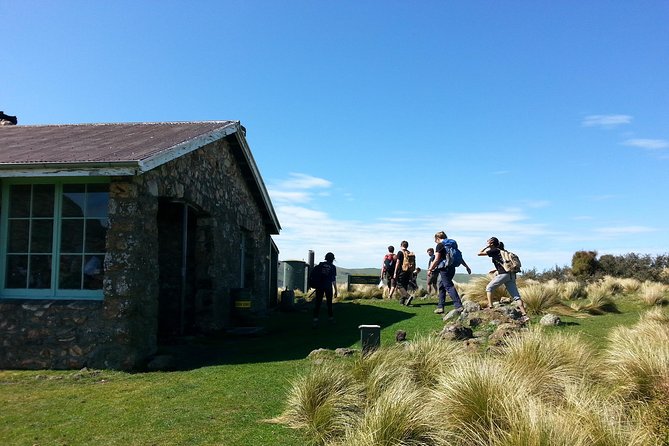Guided Walk & Scenic Drive From Christchurch- Port Hills & Packhorse Hut - Scenic Drive From Christchurch to Port Hills