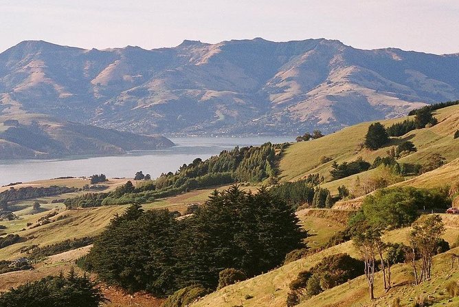 Guided Walk & Scenic Drive From Christchurch- Port Hills & Packhorse Hut - Exploring Packhorse Hut and Its Surroundings