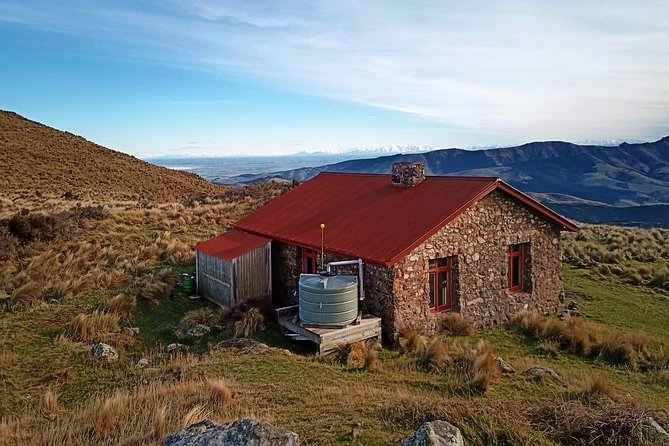 Guided Walk & Scenic Drive From Christchurch- Port Hills & Packhorse Hut - Tips for a Memorable Experience