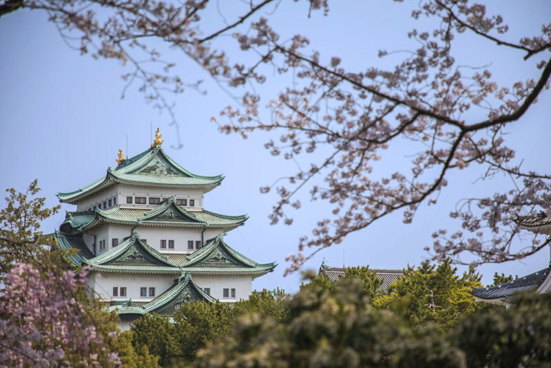 Guided Walk through Nagoyas Castle, Gardens, and Historic Estates - Lunch break at Kinsachi Yokocho