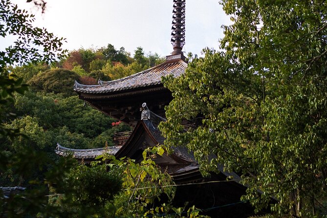 Guided Walking Ohenro Pilgrimage Experience in Dogo Hot Spring - Meeting and Pickup
