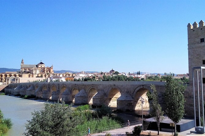 Guided Walking Tour in Cordoba - Miscellaneous