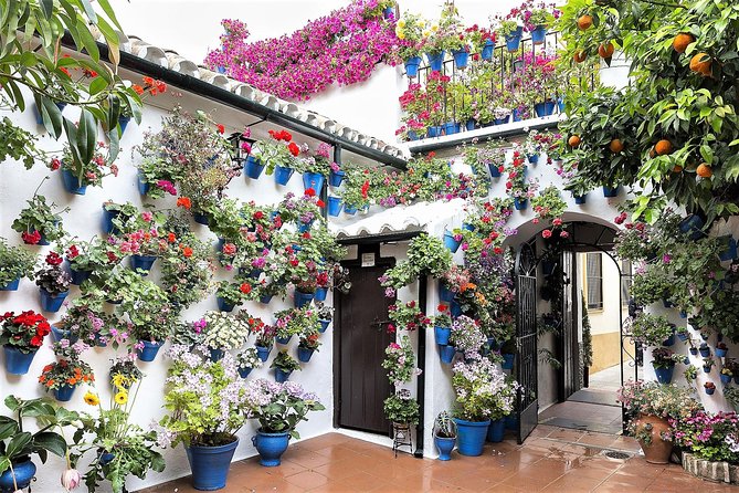 Guided Walking Tour in Cordoba - Common Questions