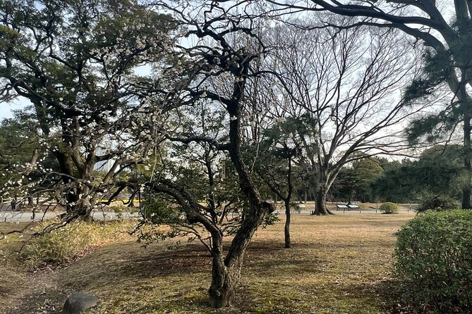 Guided Walking Tour in Hama Rikyu Gardens - Reservation and Payment